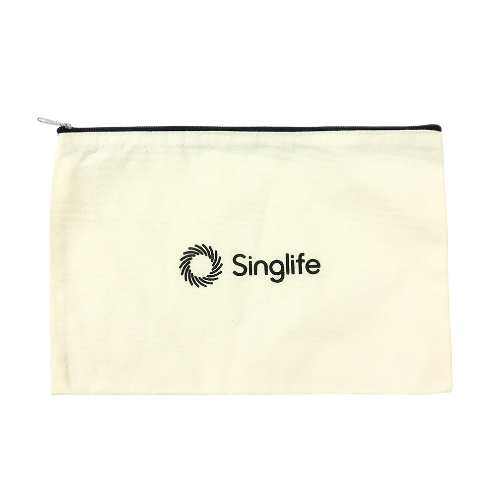 Canvas 2025 pouch bag