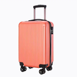 20" Luggage Case