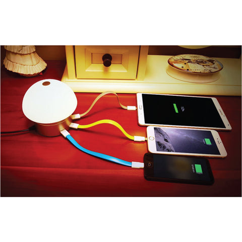 LED Desk Lamp / Table Lamp with 6 USB Charging Port - YG Corporate Gift