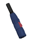 Automatic Memory Umbrella