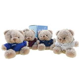 Blind Box Bear Soft Toy Keychain