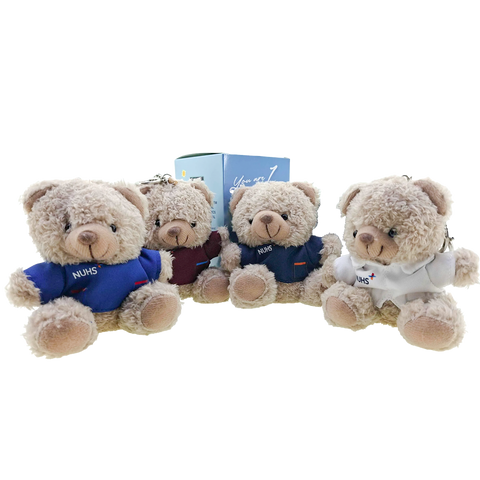 Blind Box Bear Soft Toy Keychain