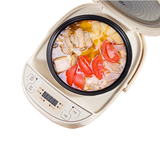 Thermos Champagne Gold Rice Cooker