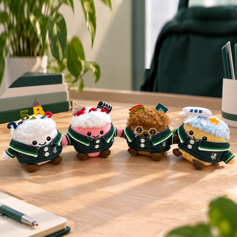 Customised Blind Box Soft Toy