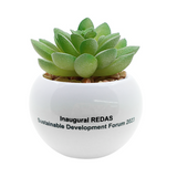 Mini Flower Pot