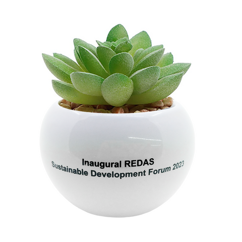 succulent forum Mini Flower Pot