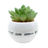 Mini Flower Pot