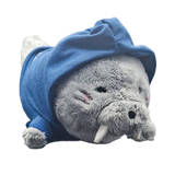 Soft Toy with Customisable Box