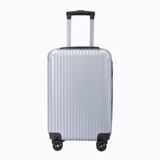 20" Luggage Case