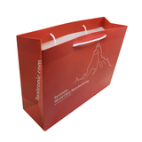 Customised Paper Bag - YG Corporate Gift