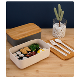 Japanese Portable Microwaveable Lunch Box