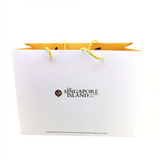 Customised Paper Bag - YG Corporate Gift