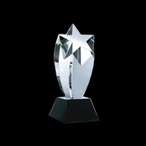 Rising Star Award - YG Corporate Gift